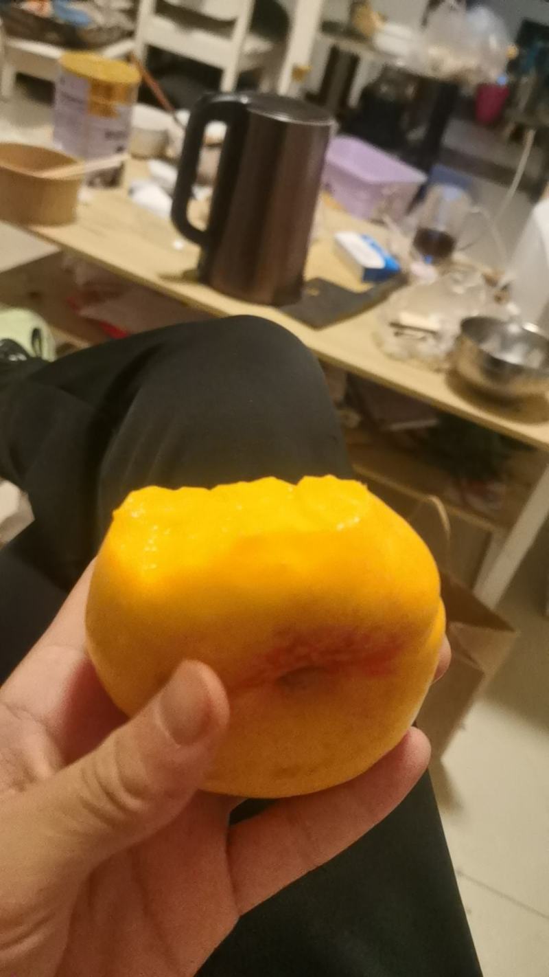 油蟠七号，二百亩基地