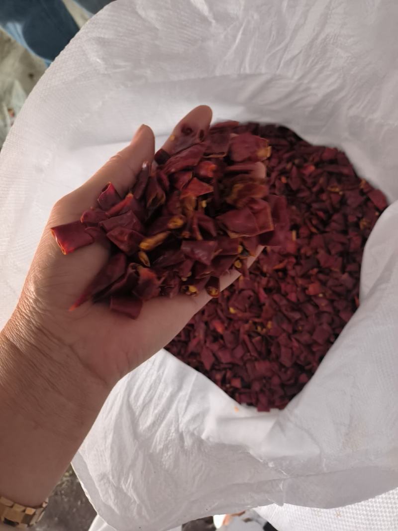 炒精品辣椒段