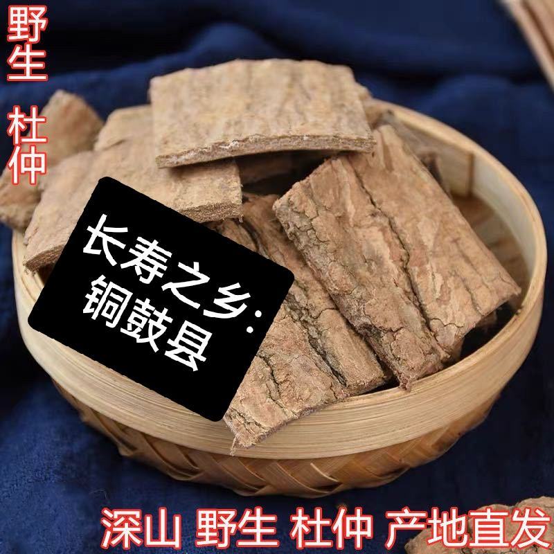 长寿之乡，铜鼓县！深山老杜仲