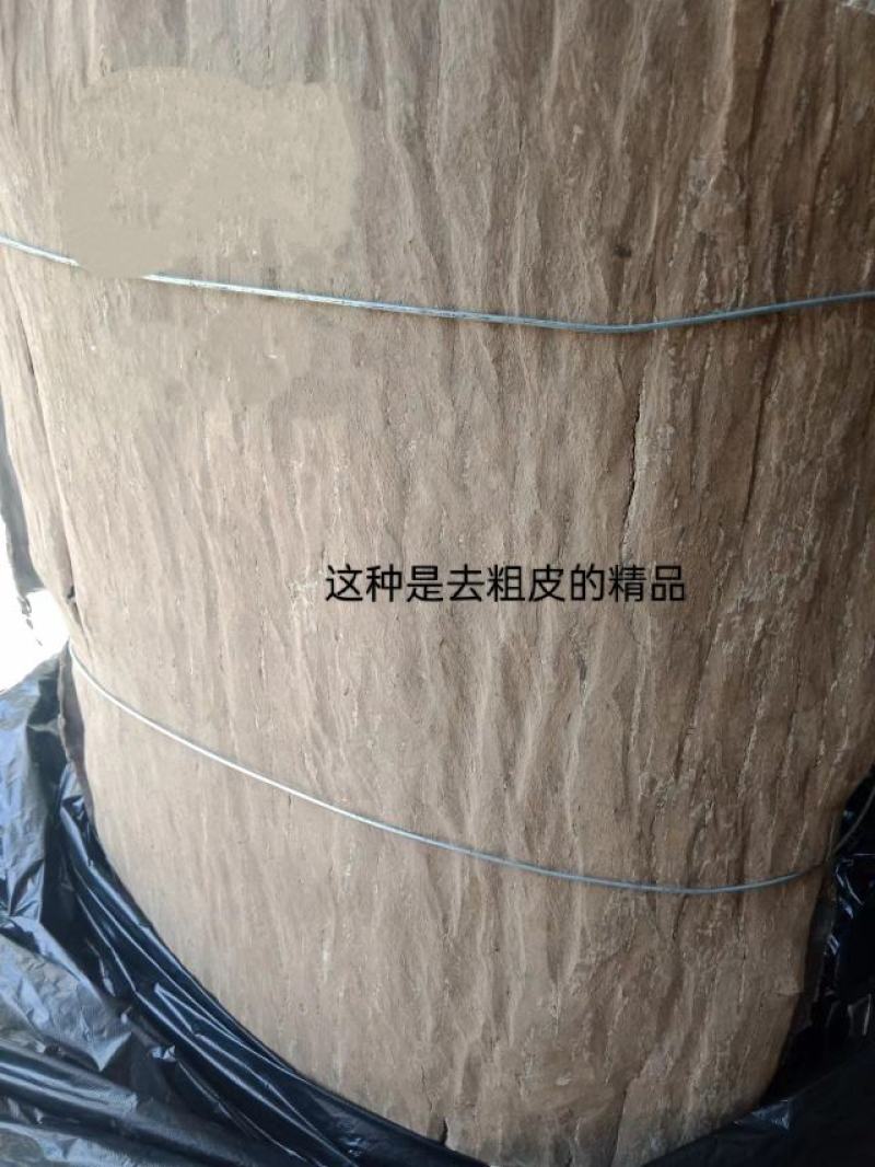 长寿之乡，铜鼓县！深山老杜仲