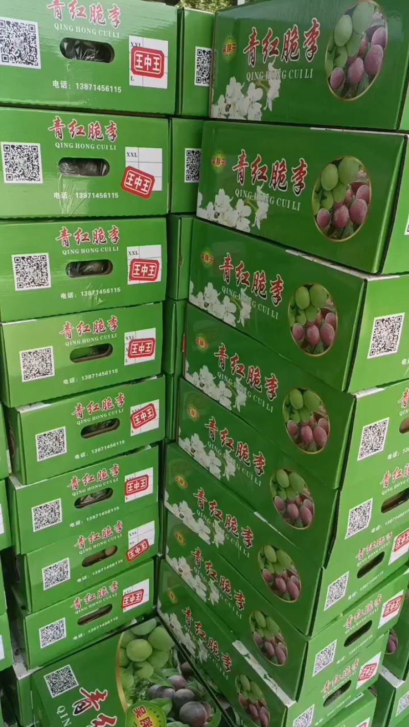 半边红李子，脆甜可口，一手货源，品质有保证。