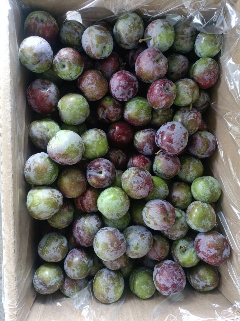 半边红李子，脆甜可口，一手货源，品质有保证。
