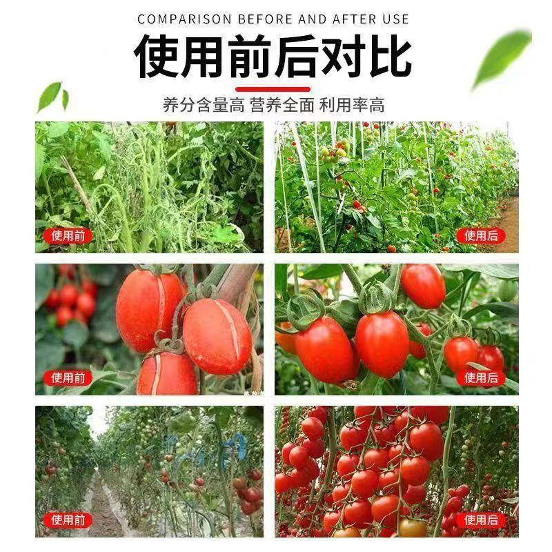 番茄西红柿专用有机水溶肥促花保果生根养根防腐防裂膨果美果