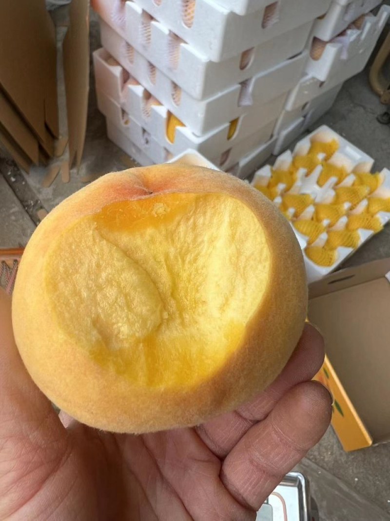 蒙阴蜜桃