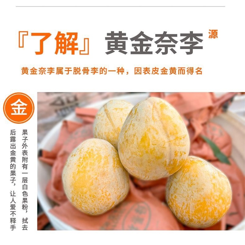 湖南汝城文明黄金奈李支持微商电商团购一件代发，档口批发