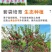 湖南汝城文明黄金奈李支持微商电商团购一件代发，档口批发