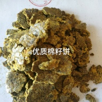 棉籽饼，蛋白20，脂肪10