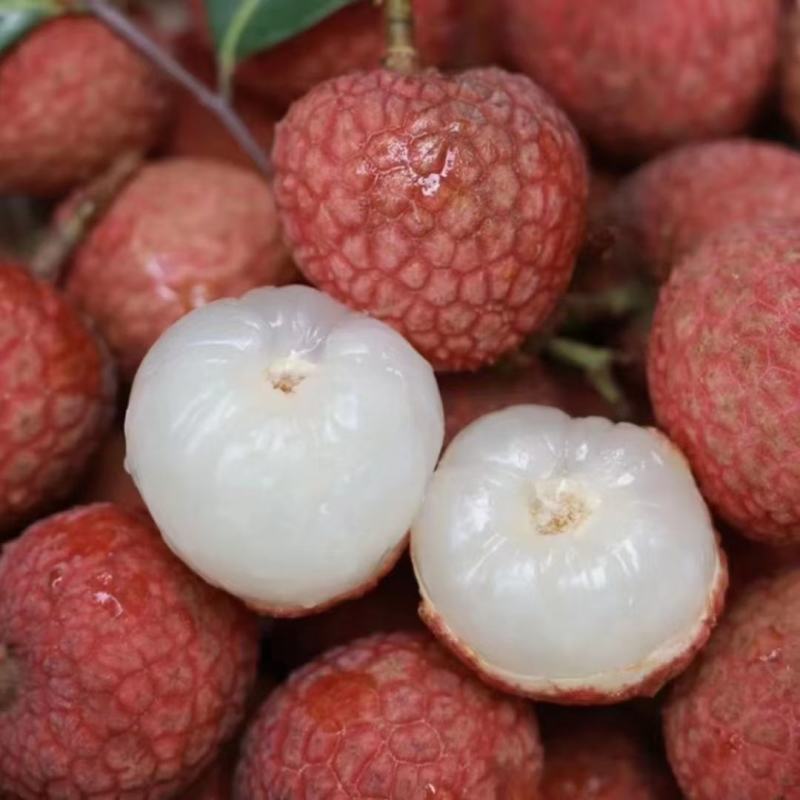 荔枝