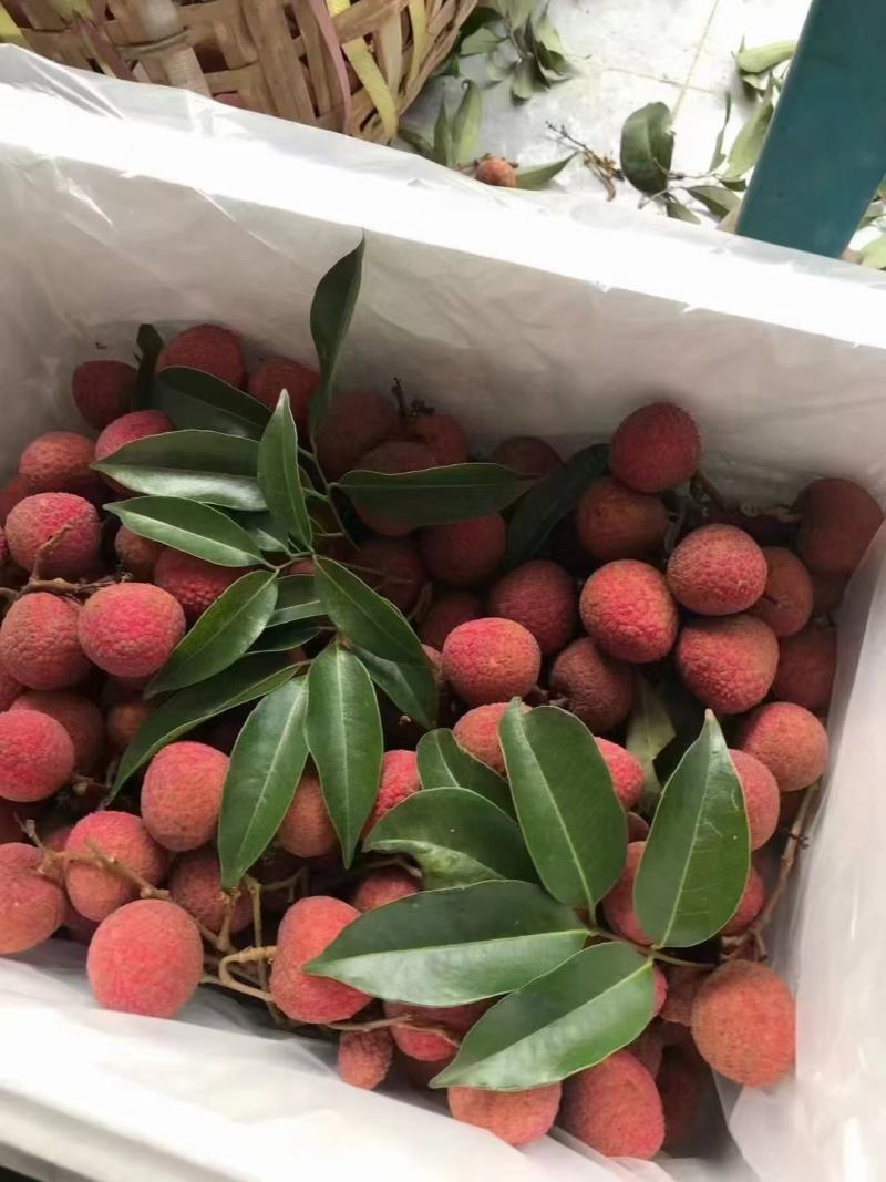 荔枝