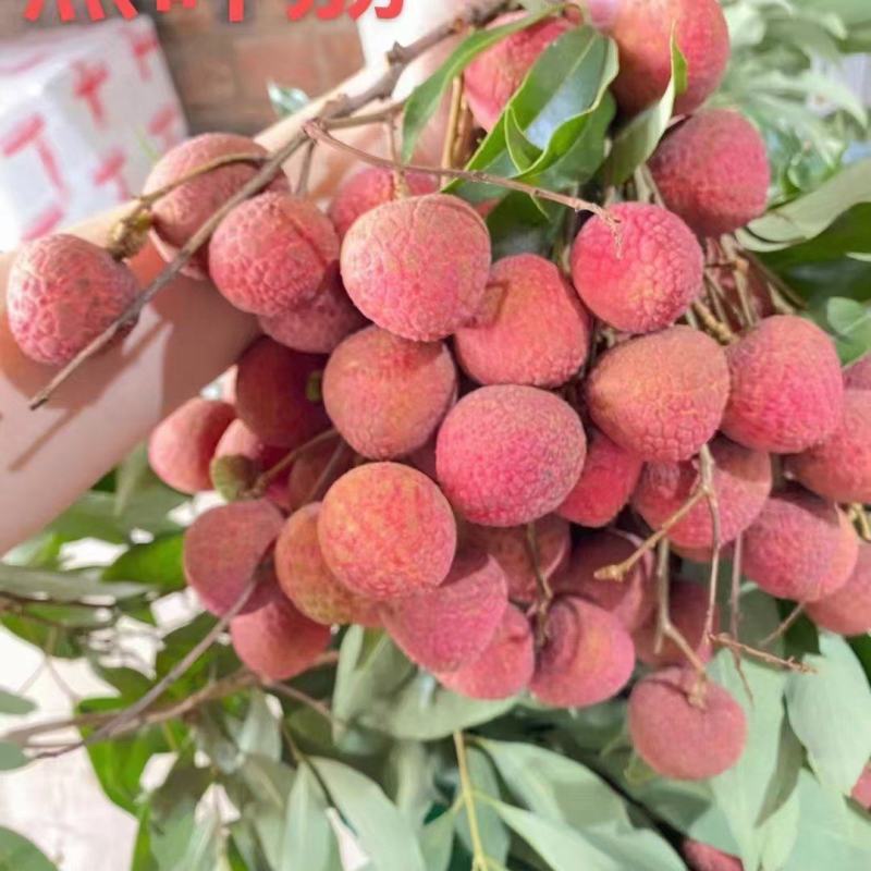 荔枝