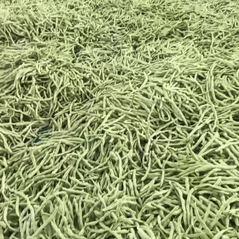 辽宁绥中白不老豆角大量有货。产地一手货源