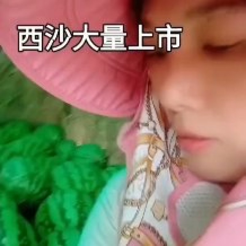 硒砂瓜，大量接单，质量三包，诚信经营，大量供应