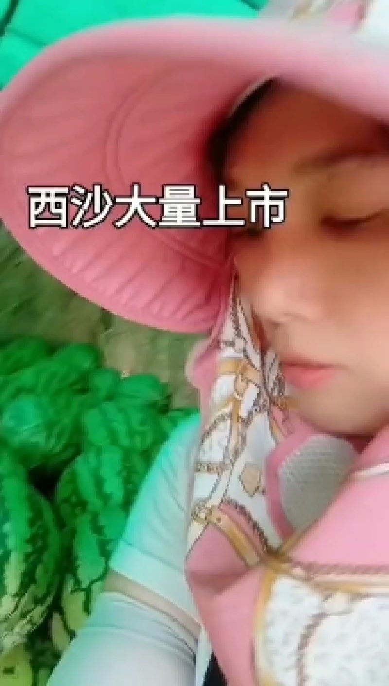 硒砂瓜，大量接单，质量三包，诚信经营，大量供应