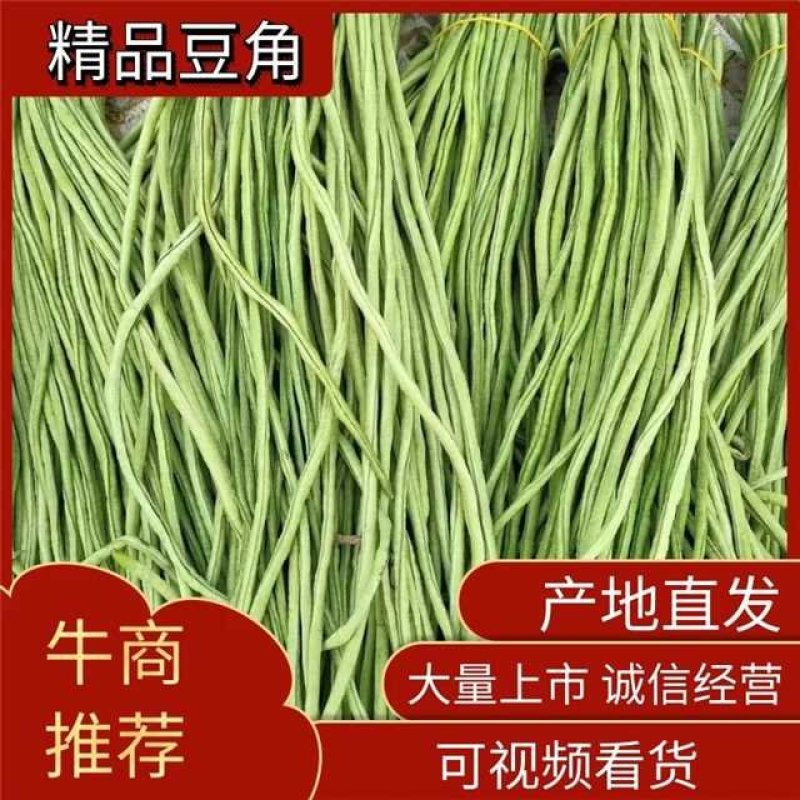 精品青条长豆角，大量现货，需要的老板可以联系了