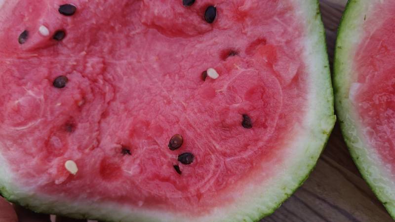 菏泽西瓜8424西瓜美都西瓜大量上市规格齐全