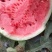 菏泽西瓜8424西瓜美都西瓜大量上市规格齐全