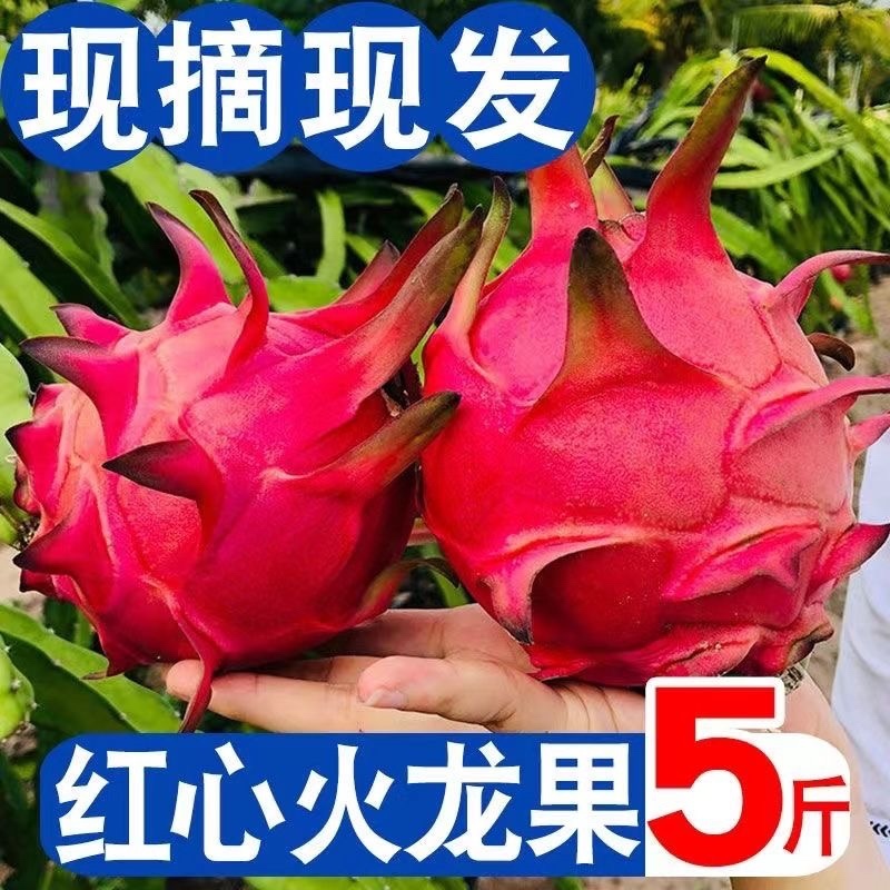 《红心火龙果一件代发》纯甜无酸，专业团队品质无忧