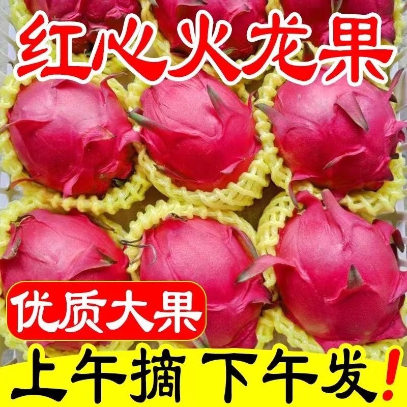 《红心火龙果一件代发》纯甜无酸，专业团队品质无忧