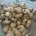 荷兰十五土豆大量上市产地直发量大从优欢迎来电
