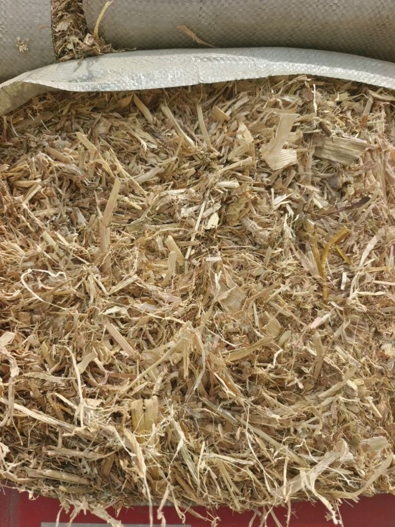 黄储玉米秸秆，青储玉米秸秆，一手货源，全国大量发货，