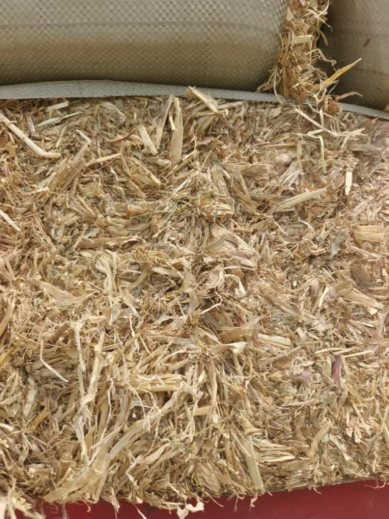 黄储玉米秸秆，青储玉米秸秆，一手货源，全国大量发货，
