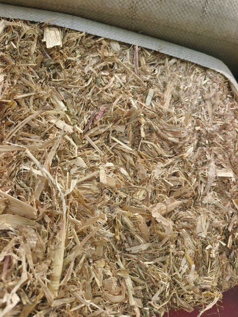 黄储玉米秸秆，青储玉米秸秆，一手货源，全国大量发货，