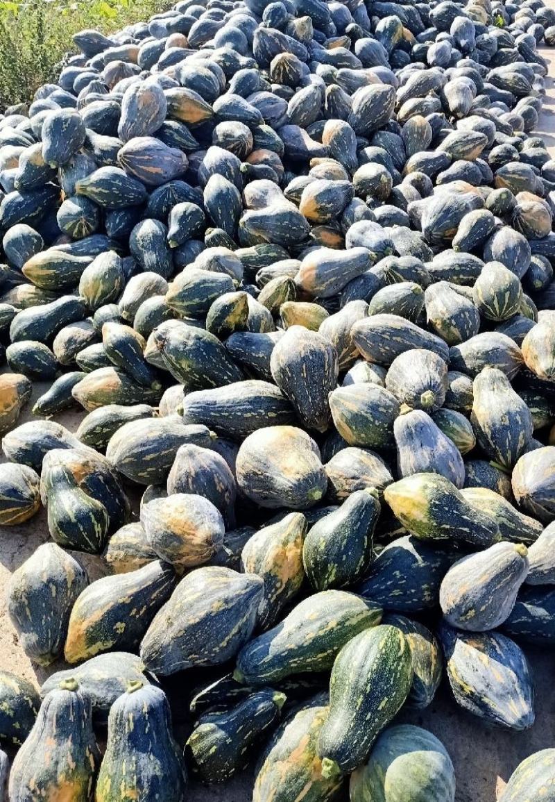 香芋南瓜支持电商货，大量上市货源充足品质保证