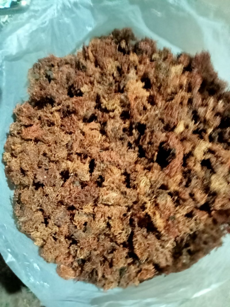 野生树花