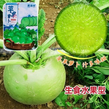 生食水果型萝卜种籽苹果萝卜种子汁多味甜甜脆爽口杂交品种