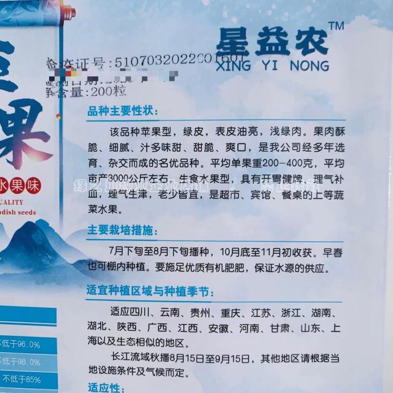 生食水果型萝卜种籽苹果萝卜种子汁多味甜甜脆爽口杂交品种