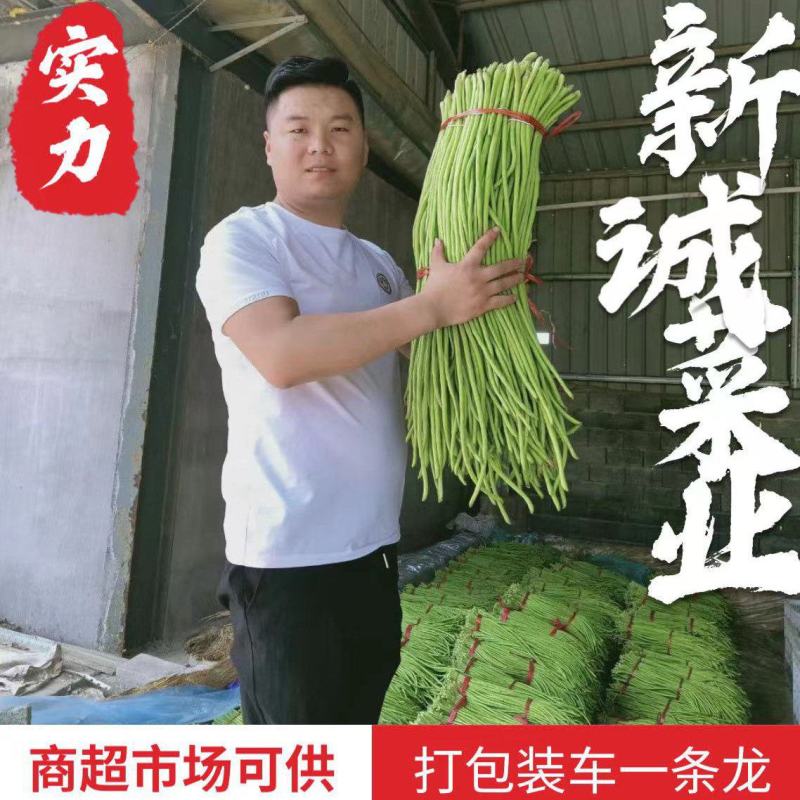 【推荐】豆角，山东兰陵长豆角！豇豆新鲜现摘！万亩基地