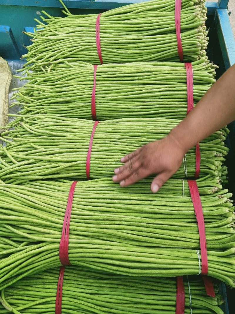 【推荐】豆角，山东兰陵长豆角！豇豆新鲜现摘！万亩基地