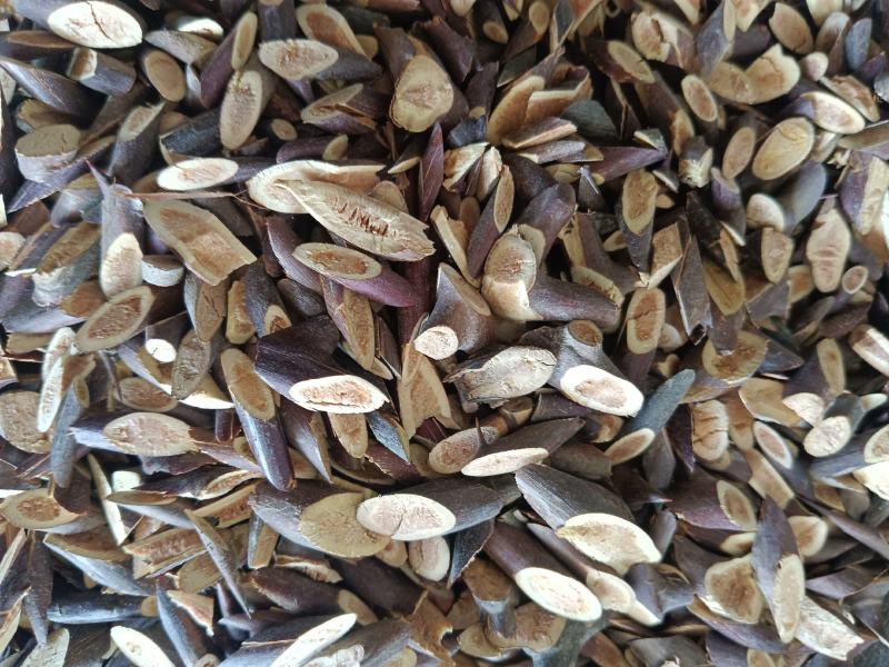 皂刺自己加工手工制作实拍现货24小时内发货
