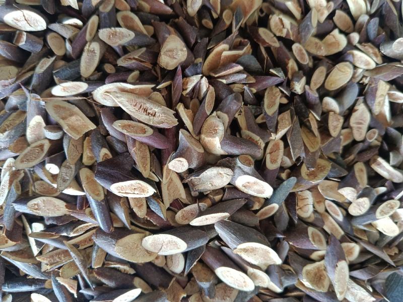 皂刺自己加工手工制作实拍现货24小时内发货