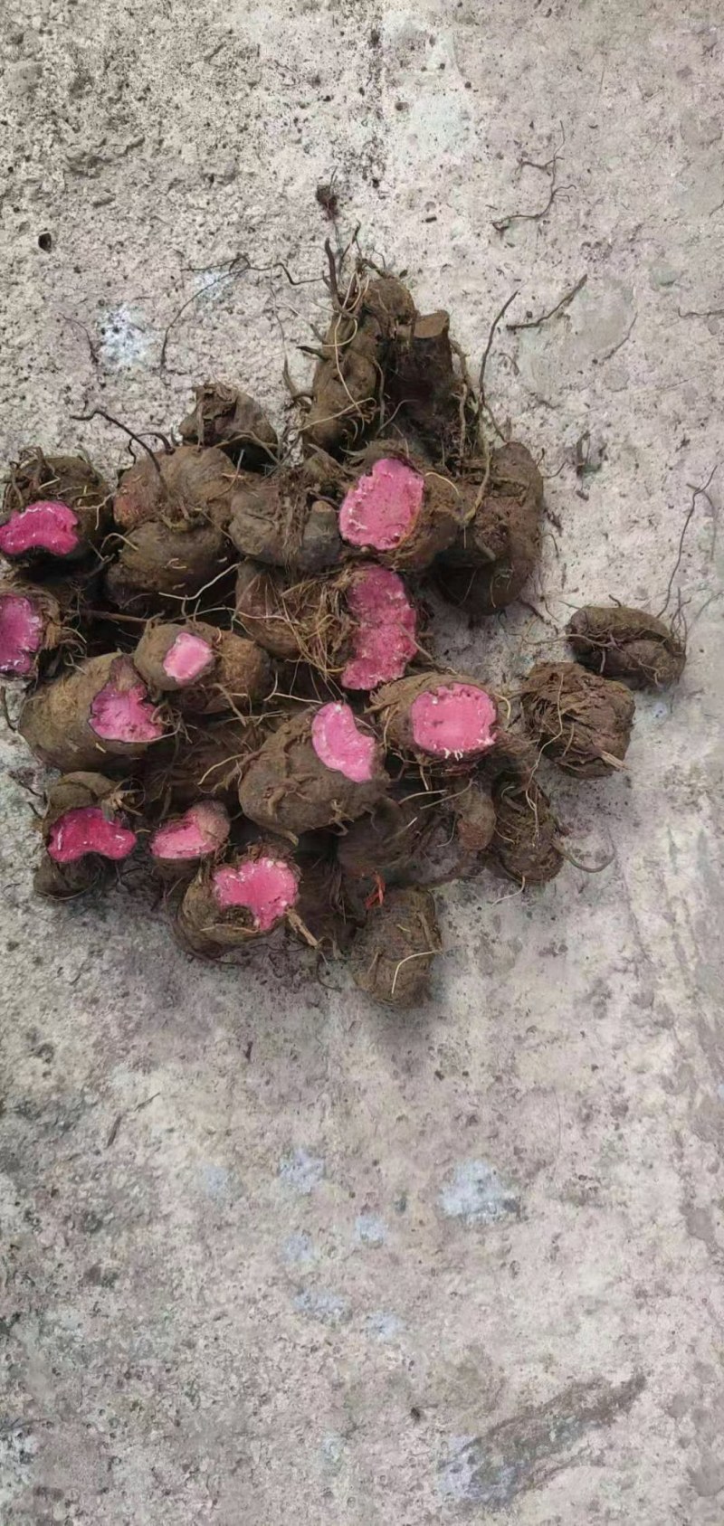 药材，