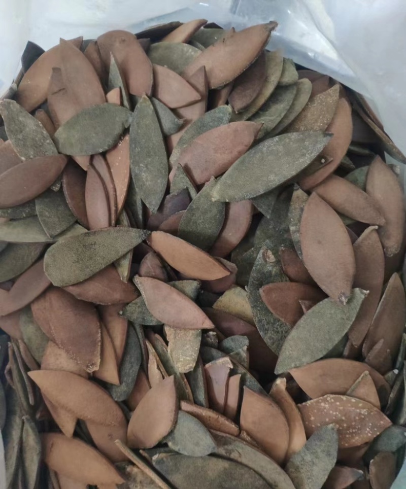 化橘红圆片化橘红斜片化橘红，一手货源
