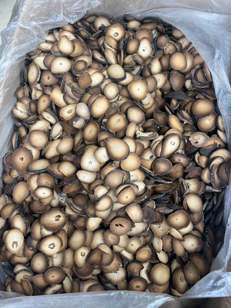 化橘红圆片化橘红斜片化橘红，一手货源
