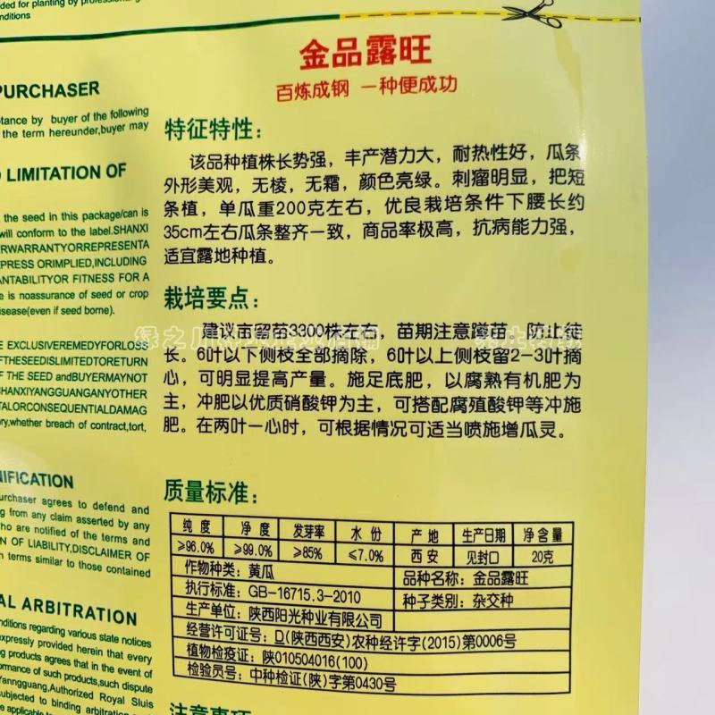 金品露旺杂交黄瓜种子颜色亮绿耐热性好黄瓜种籽露天专用