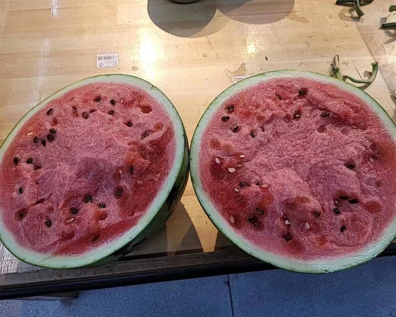 蒲城甜王大量上市中价格美丽产地直销
