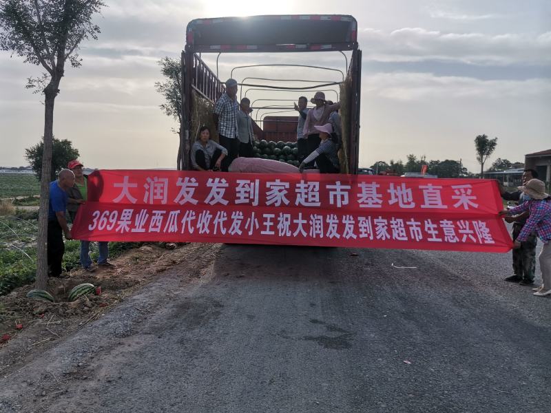 蒲城甜王大量上市中价格美丽产地直销