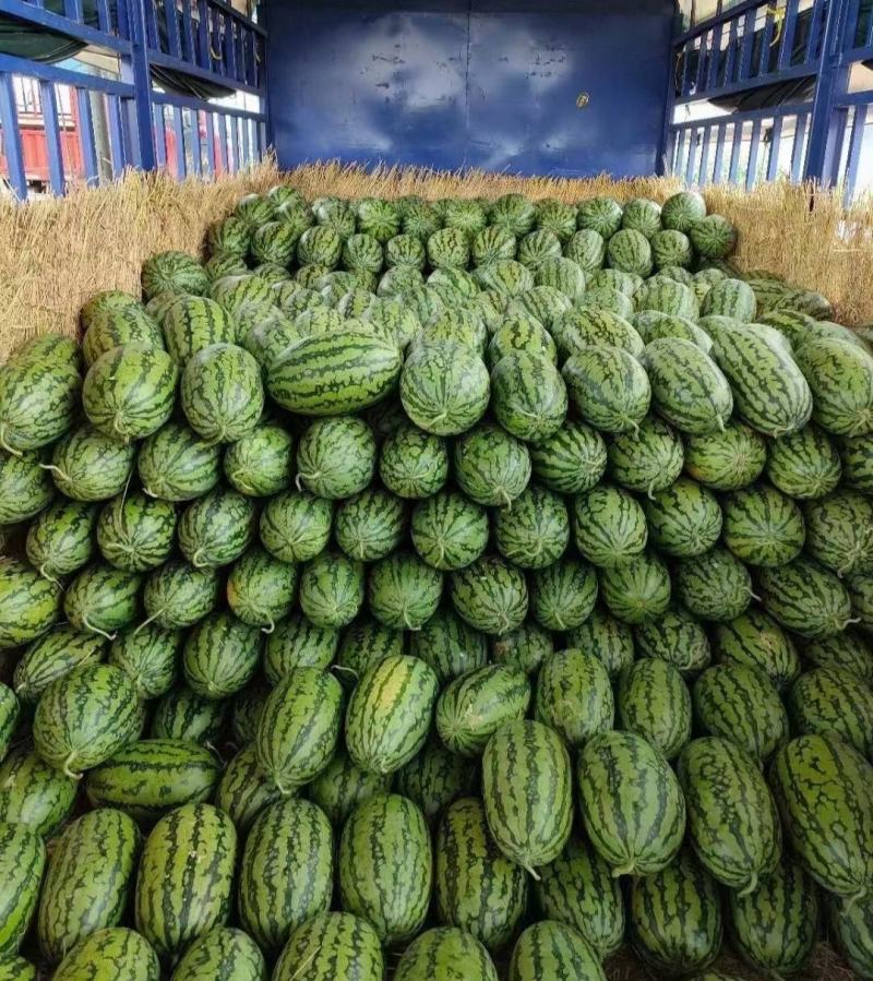 绿裳西瓜支持电商货市场货精品货，已经上市，货源充足。