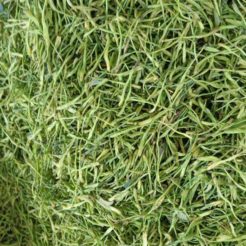 金银花，中药材金银花，
