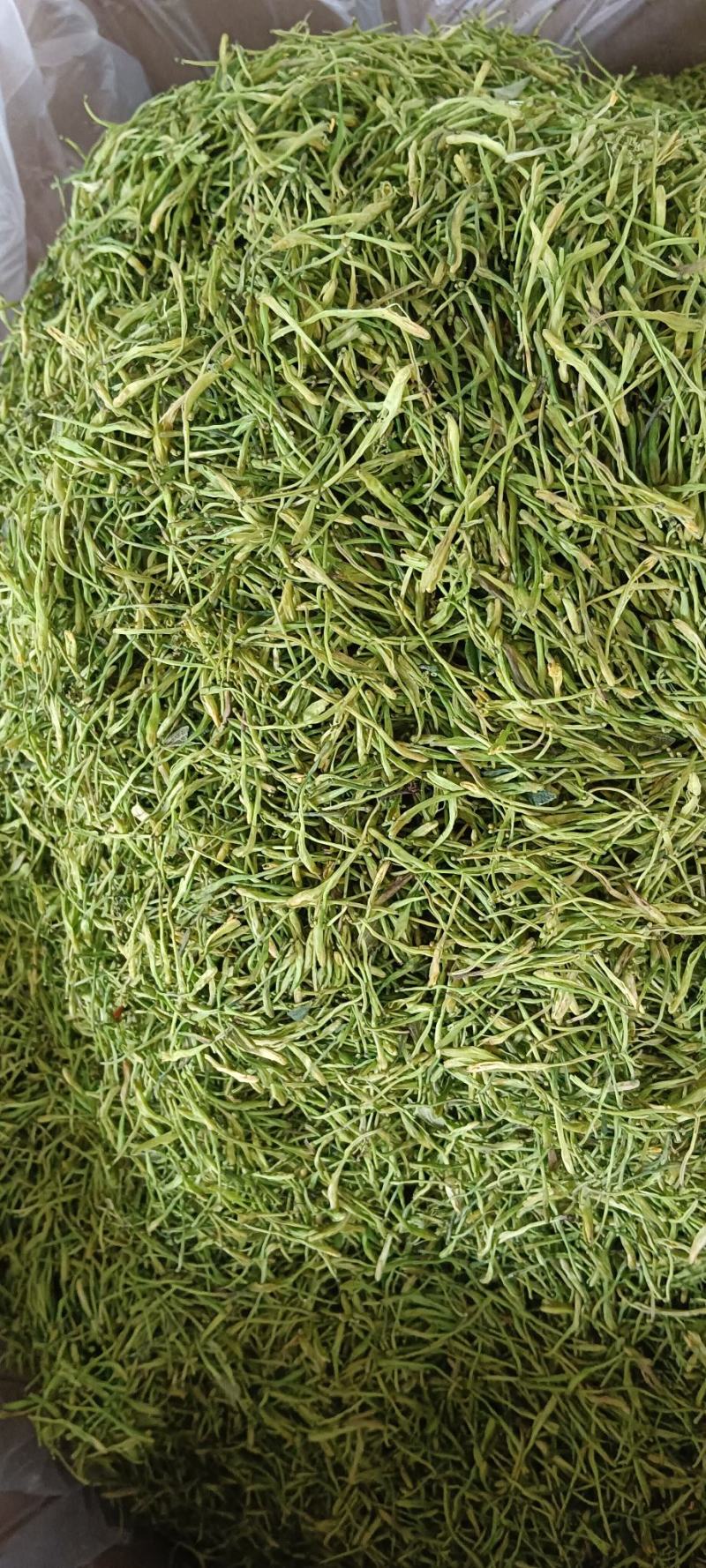 金银花，中药材金银花，