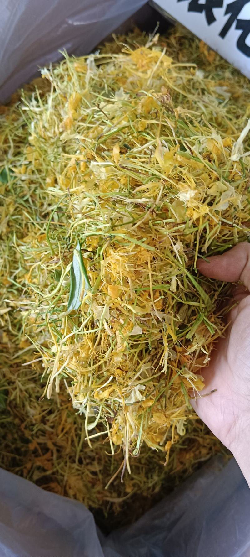 金银花，中药材金银花，