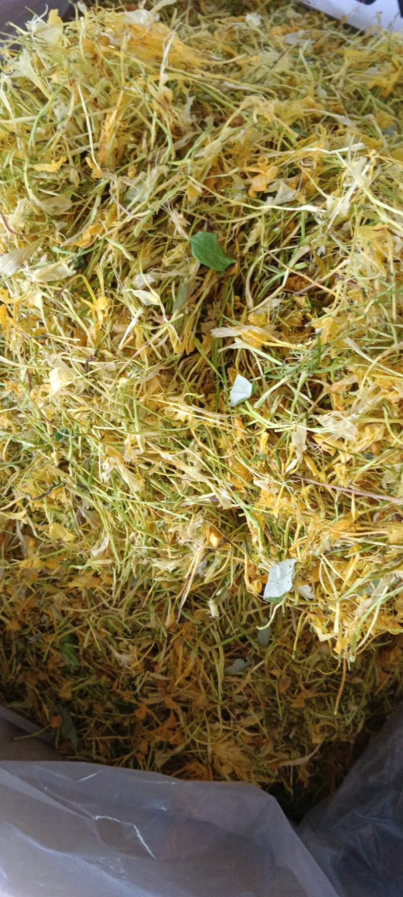 金银花，中药材金银花，