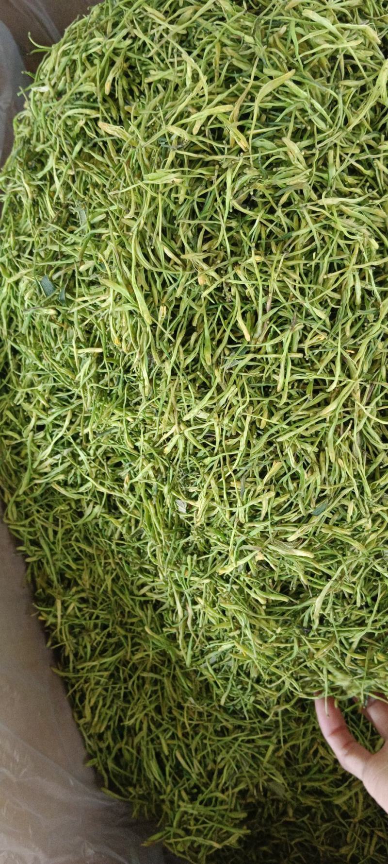 金银花，中药材金银花，