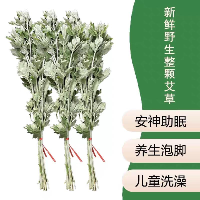 端午节，插门艾，艾蒿