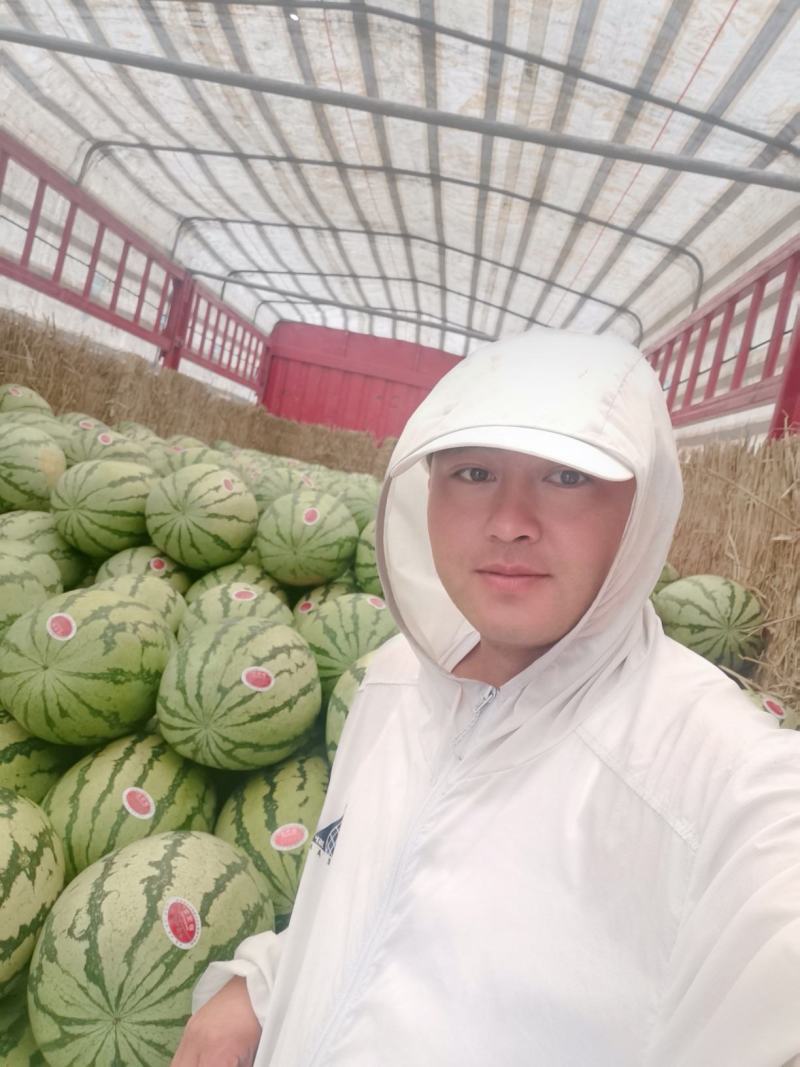 金花一号即将大量上市中产地直销