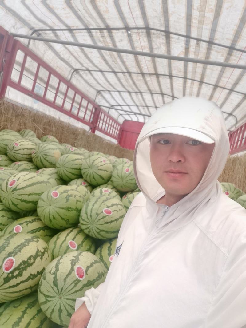 金花一号即将大量上市中产地直销
