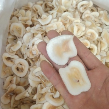 海底椰泰国香椰颜色白无硫***放心食用批零兼营